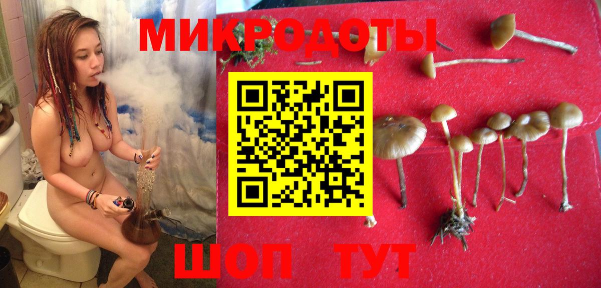 Псилоцибиновые грибы Magic Shrooms Владикавказ